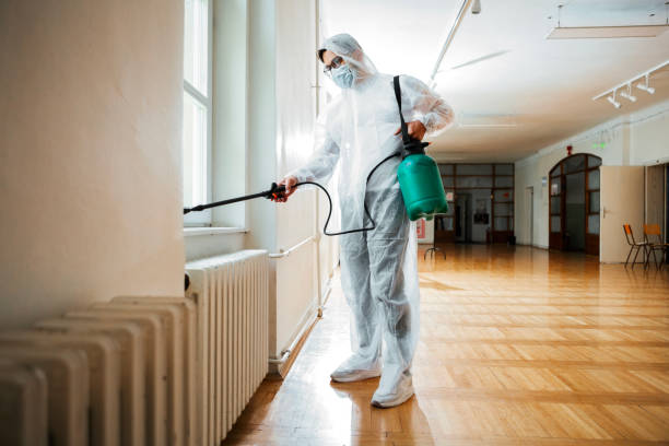 Best Best Pest Control Companies  in King City, OR